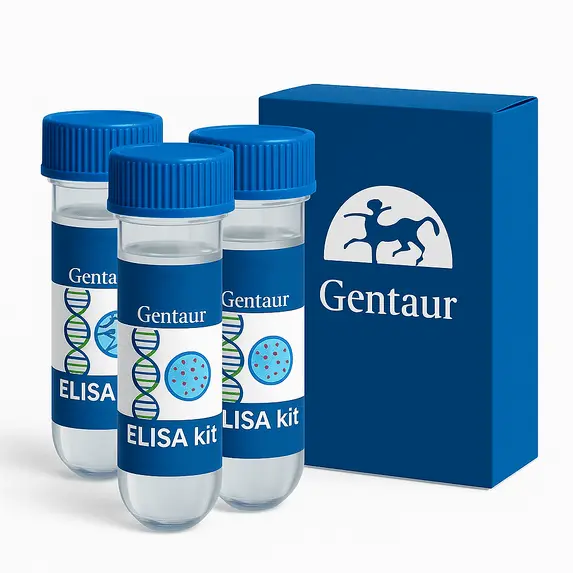 Rat IgM ELISA Kit  1 Kit (96 Wells) - 1 Kit
