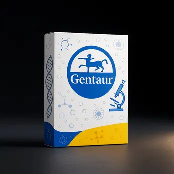 Deoxynucleotide Mix, 10mM - 10 x 1ml