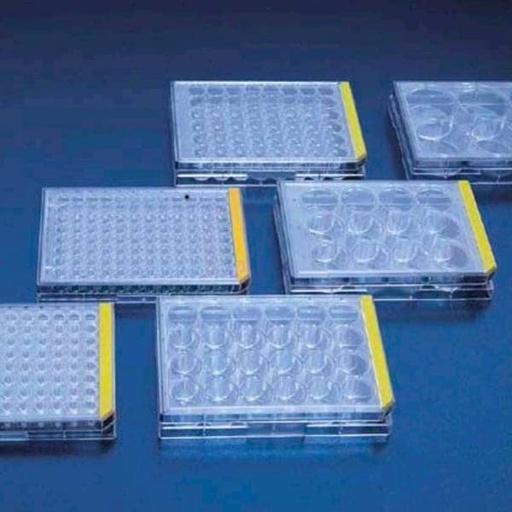 [GEN - TP 92097] Tissue culture test plate