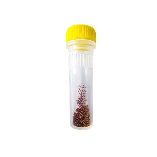 [GEN - IN 845-CS-1060250] innuSPEED Lysis Tube S