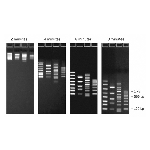 [GEN - LO 57033] FlashGel DNA Marker  50bp